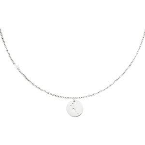 Collier signe du zodiaque Bélier Argenté Acier inoxydable h5 Image4